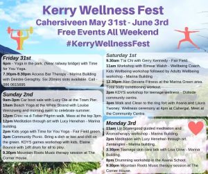 Kerry Wellness Fest - KC Digital Marketing